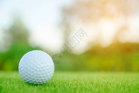 绿色草地高尔夫球准备在高图片