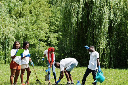 一群快乐的非洲志愿者在公园植树非洲志愿工作慈善人民和生态概念图片
