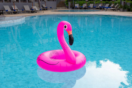 游泳池中的可充气粉红图片