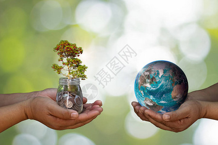 世界环境日在每个人手上植树和绿地图片