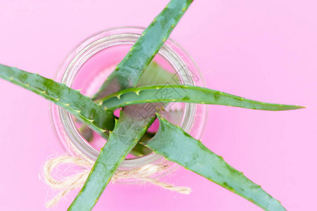 在粉红色背景的玻璃罐中用药绿色植物alo图片