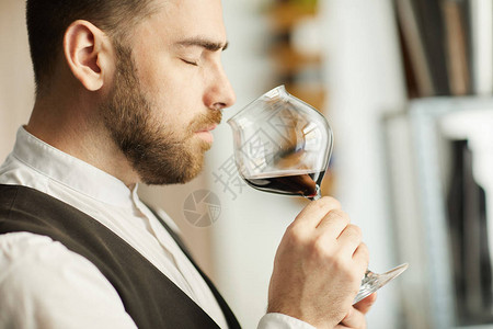 在品尝会话期间专业的酒美食家拿着葡萄酒杯的侧端视背景图片
