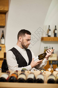 专业美食家在酒窖或葡萄酒厂复制空间中选择葡萄图片