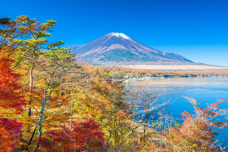 日本富士山从Yamanaka湖与FallFoli图片