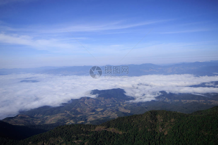 高山雾的景观覆盖了森林图片