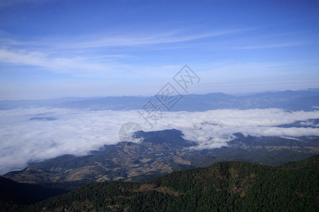 高山雾的景观覆盖了森林图片
