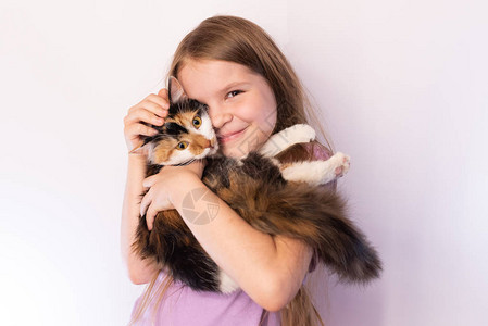 小可爱女孩抱着三色猫抱她轻背景的拥抱图片