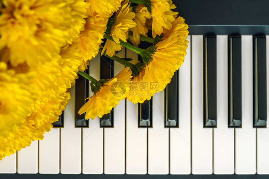 钢琴上的花朵黄色的菊花布在钢琴键盘上方图片