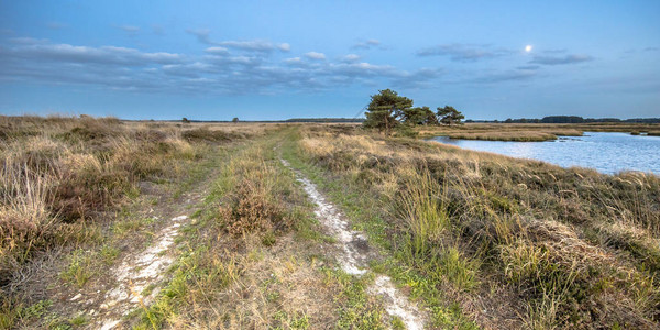 Drenthe省Hijken附近自然地貌景观图片