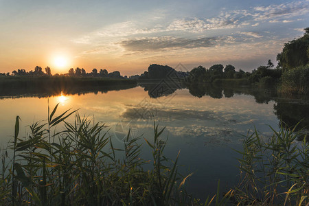 河水风景清晨黎明在河上与花朵图片