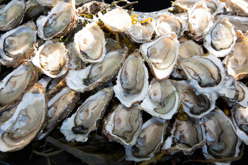 Arcachon盆地法国餐馆露天新鲜牡蛎的图片