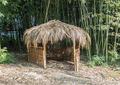 竹子背景上挂着刺破屋顶的观光师ParkArb图片