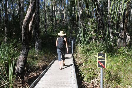 澳大利亚女游客路过澳大利亚北领地卡杜公图片