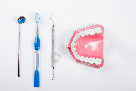 牙科齿假牙模型和牙科工具图片