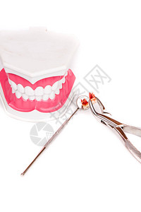 牙科齿假牙模型和牙科工具图片