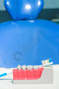 刷牙时带牙刷的牙科模型图片