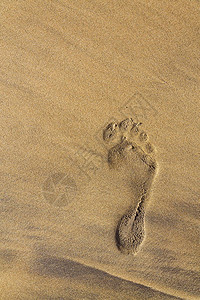 棕黄色沙滩背景暑假或气候变化概念中右脚赤的单人赤足图片
