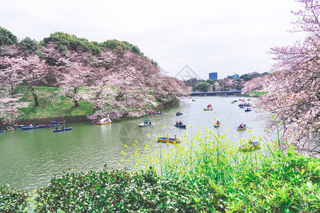 东京图片