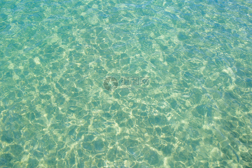 清澈的绿水和小浪加上太阳反射物图片
