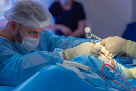 外科医生和他的助手在医院手术室进行鼻子整容手术图片
