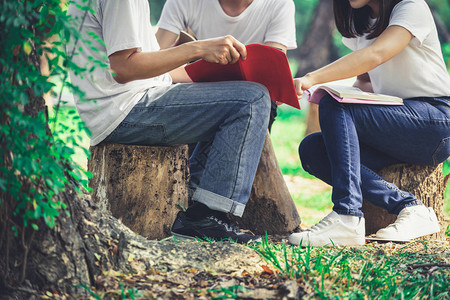 在大学或校公园的小组项目中学习的年轻学生团队快乐学习社区团队合作和图片