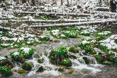 寒冷的白天有溪流的冬图片