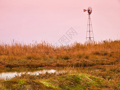 自然风炉池塘和高草日落时间图片