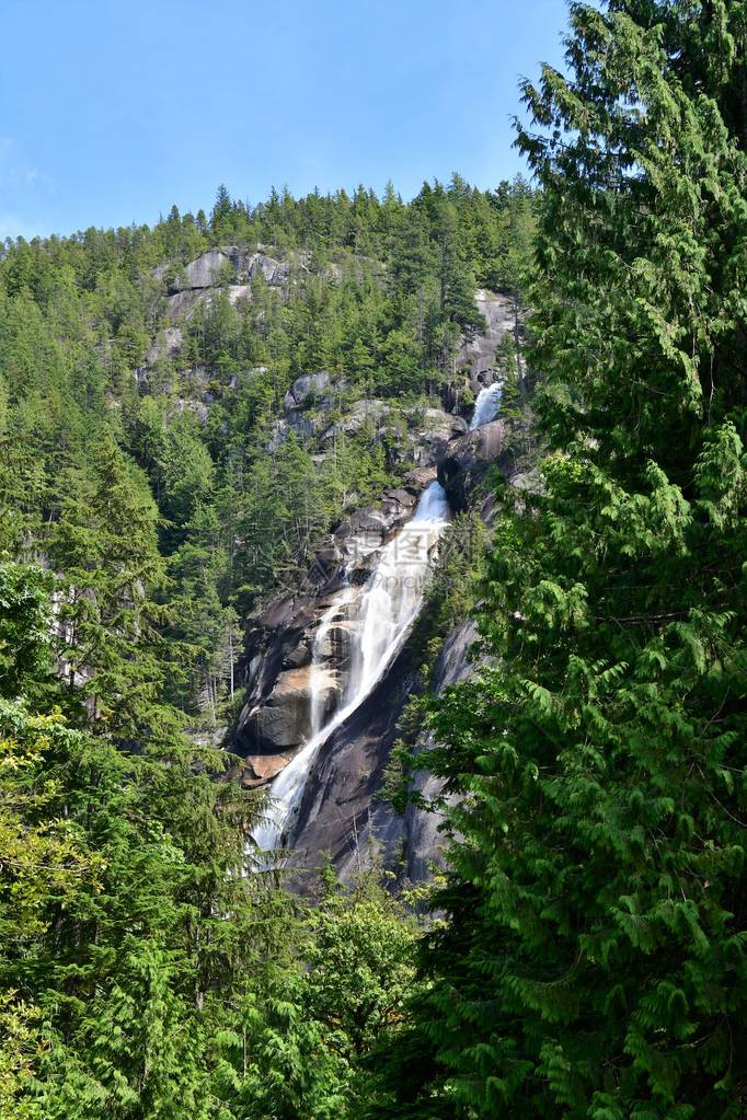 香农瀑布的景象加拿大不图片