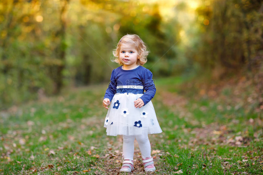 可爱的蹒跚学步的小女孩在秋天的公园里散步快乐健康的宝享受与父母一起散步有孩子的阳光温暖的秋天与大自然中的孩子一起积图片