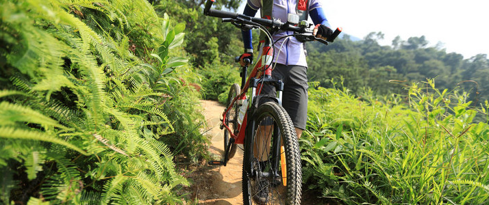 在热带森林足迹上骑着山车的骑自行车的图片