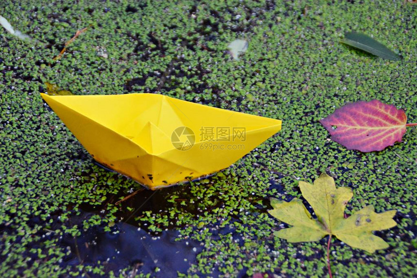 秋天在雨水堆积的水坑里漂浮在地图片