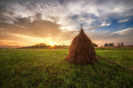 日落时山顶的干草地农村夏季图片