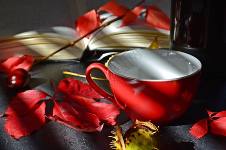 栗子五颜六色的秋叶和一本书放在杯子旁边的黑色厨房表面上图片