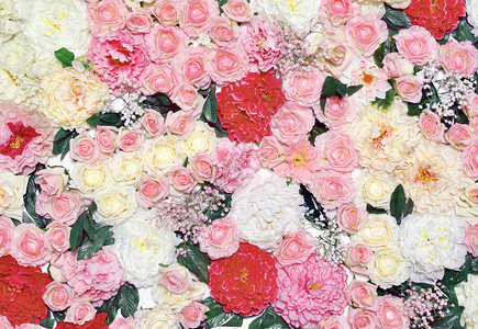 花朵多彩花卉装饰图片