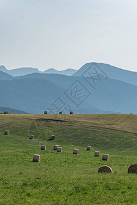 西班牙LaCerdanya地区美图片