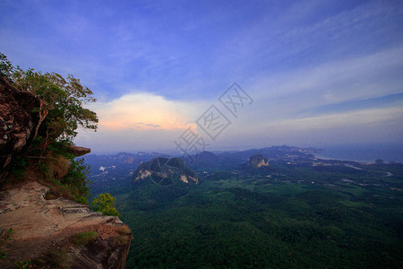 夕阳下的山上森林景观图片