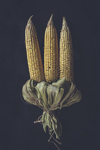 黑色背景上的玉米花束用部分去壳的甜玉米和玉米棒制成的花束未加工的甜图片