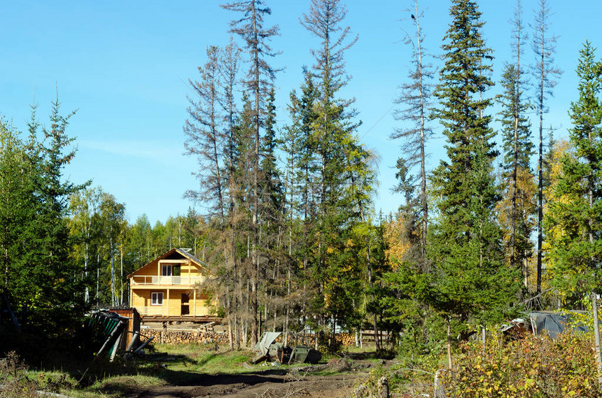 新的私人住宅建筑在温泉森林和野木图片