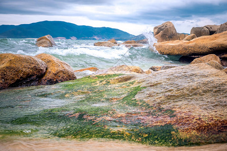 岩石头海越南Nha图片