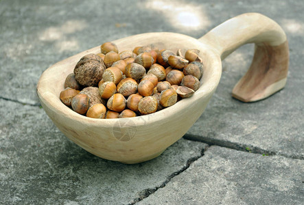 坚果收获木碗中的榛子和核桃手工木花瓶图片