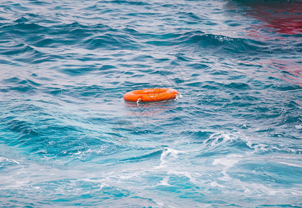 橙色救生圈环海洋生物背景图片