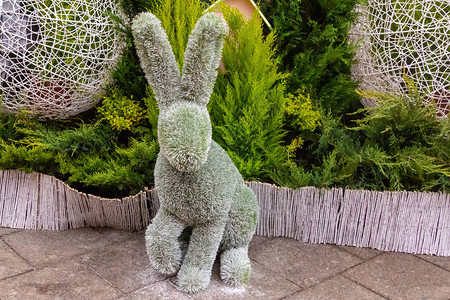 复活节双耳兔子雕像花园fluffy图片