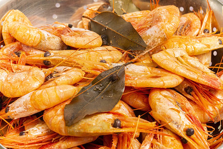 煮熟的大西洋对虾在不锈钢滤锅中四处流动图片