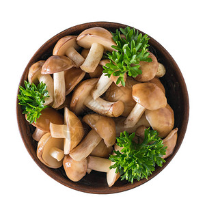 Clay碗里有新鲜蘑菇和鹦鹉白底的叶子隔绝从顶部看图片