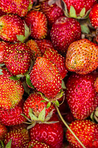 新鲜可口的草莓果实背景明亮图片