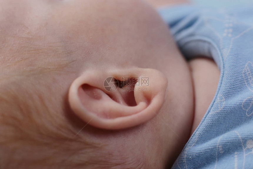 婴儿2个月大婴儿耳图片