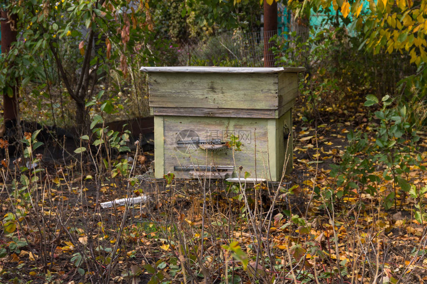 秋天花园里的旧木蜂箱图片