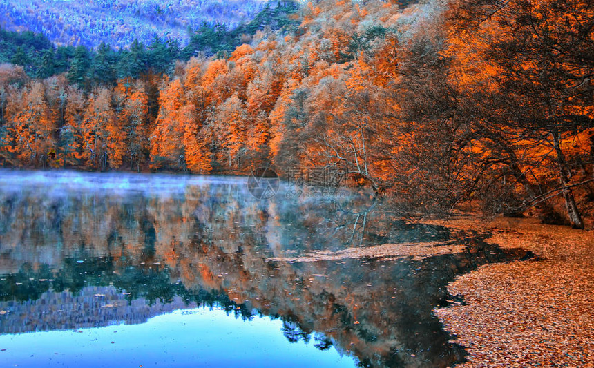 秋天和风景照片图片