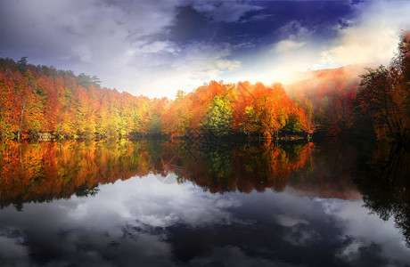 秋天和风景照片图片