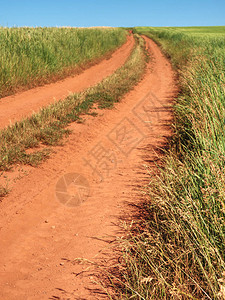 红尘尘土和肮脏的拖拉机路在田野地景色背景